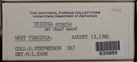 Image Associated With the Occurence